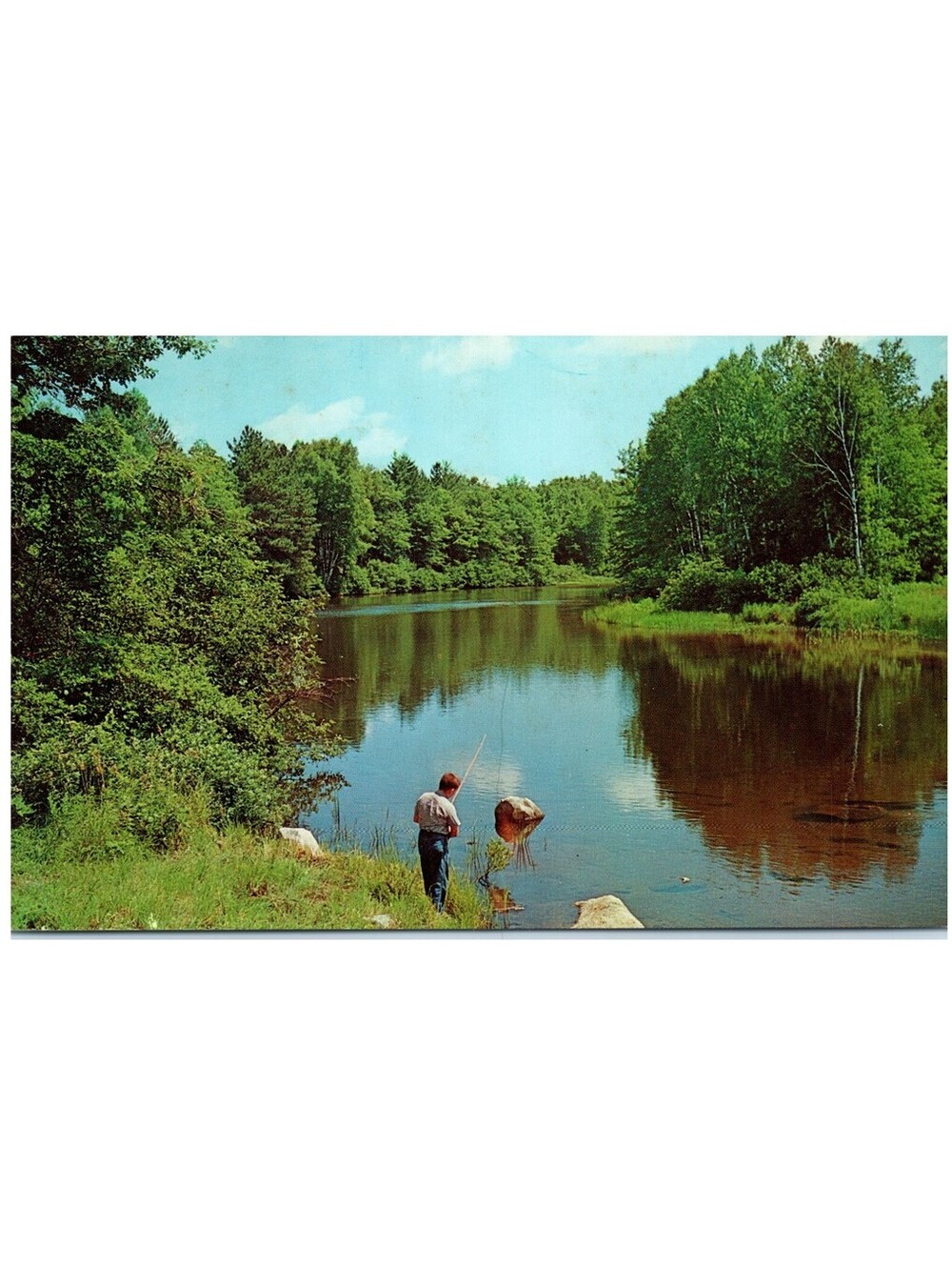 Vintage Postcard 1960s Fishing Michigan Along a Quiet River Scenic Old Stock
